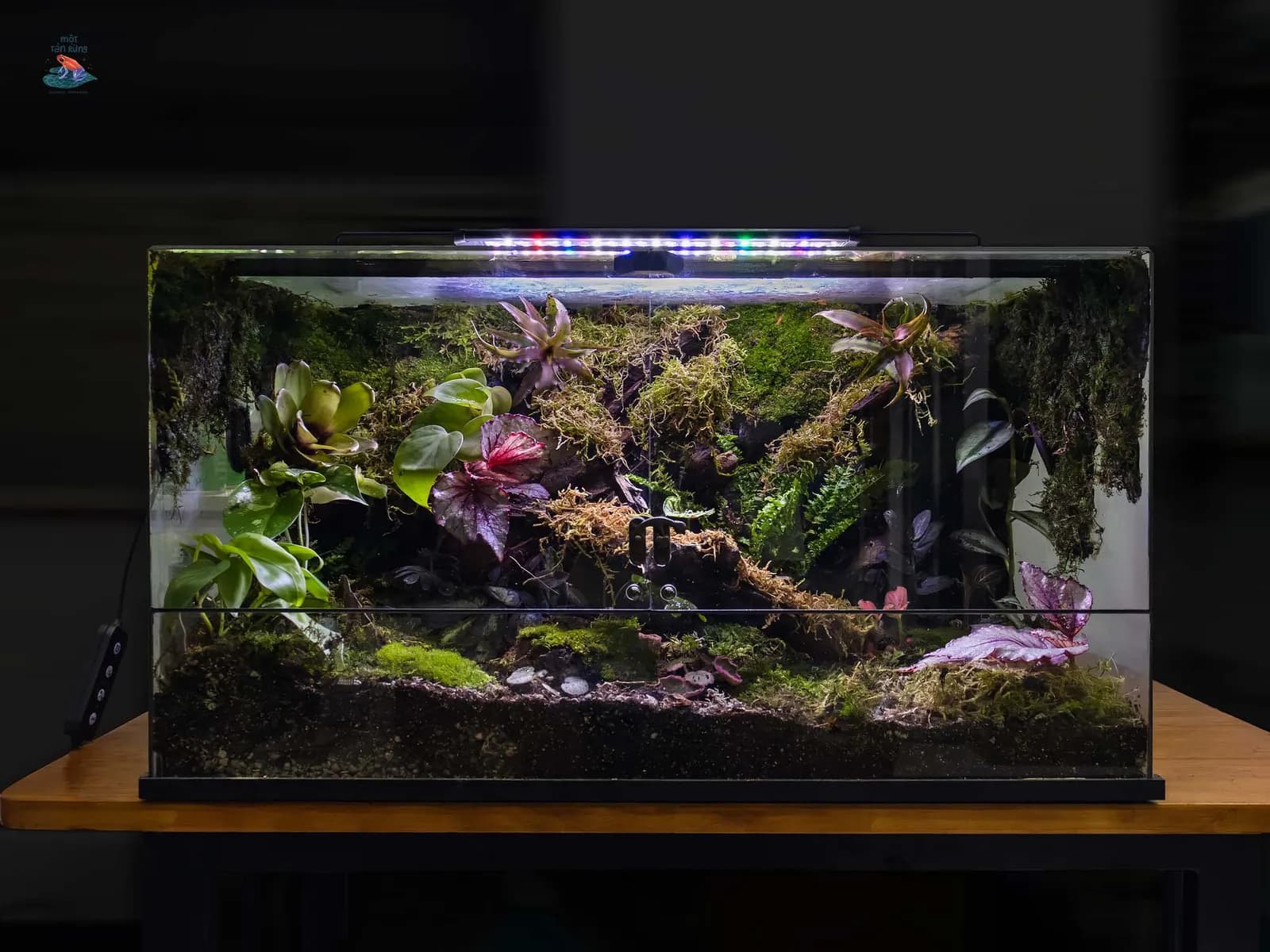 Tank Ngang 55x30x30